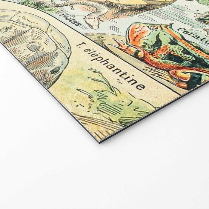 Reptiles II by Adolphe Millot // XL 19th Century Snakes Lizards Alligators Science Textbook Artwork Welcome Mat Gallery Image 2