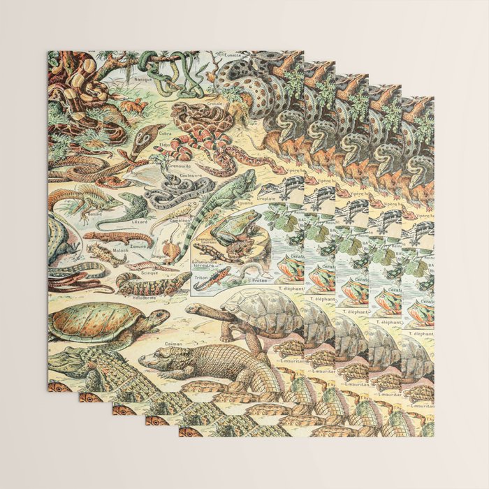 Reptiles II by Adolphe Millot // XL 19th Century Snakes Lizards Alligators Science Textbook Artwork Wrapping Paper Gallery Image 3