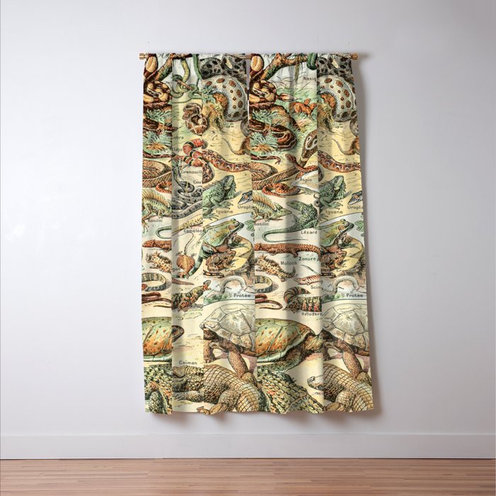 Reptiles II by Adolphe Millot // XL 19th Century Snakes Lizards Alligators Science Textbook Artwork Window Curtain Gallery Image 3