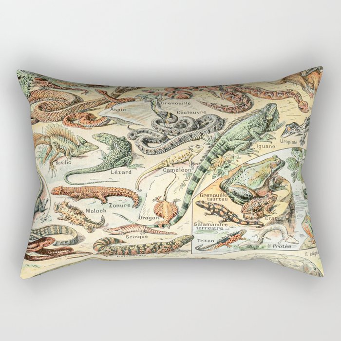 Reptiles II by Adolphe Millot // XL 19th Century Snakes Lizards Alligators Science Textbook Artwork Rectangular Pillow Gallery Image 2