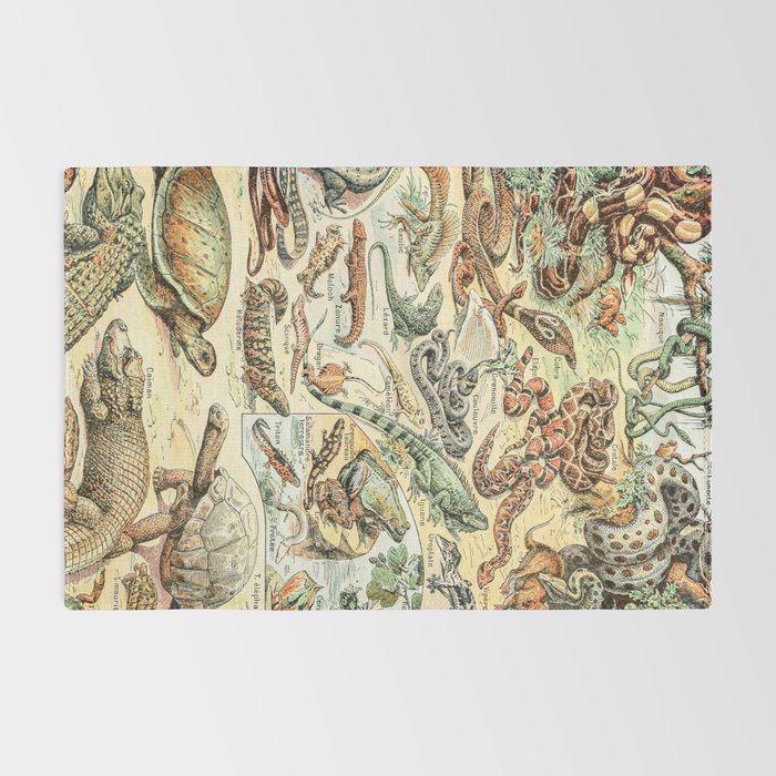 Reptiles II by Adolphe Millot // XL 19th Century Snakes Lizards Alligators Science Textbook Artwork Rug Gallery Image 2