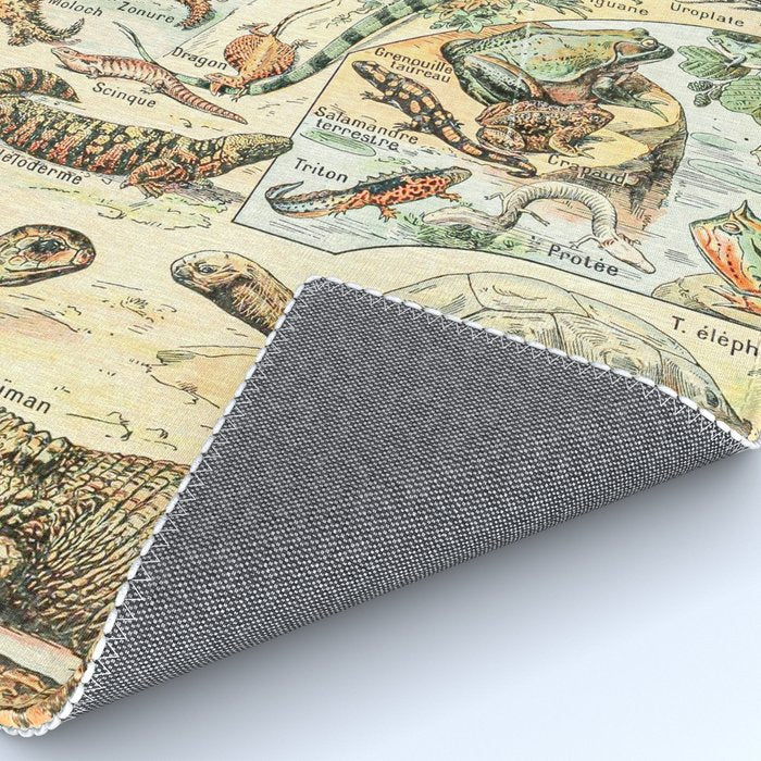 Reptiles II by Adolphe Millot // XL 19th Century Snakes Lizards Alligators Science Textbook Artwork Rug Gallery Image 4