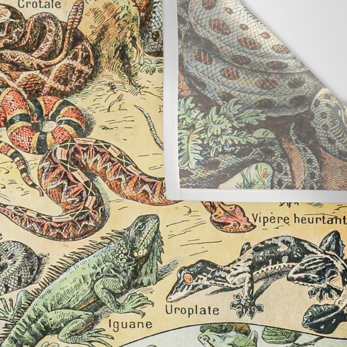 Reptiles II by Adolphe Millot // XL 19th Century Snakes Lizards Alligators Science Textbook Artwork Wall Tapestry Gallery Image 3