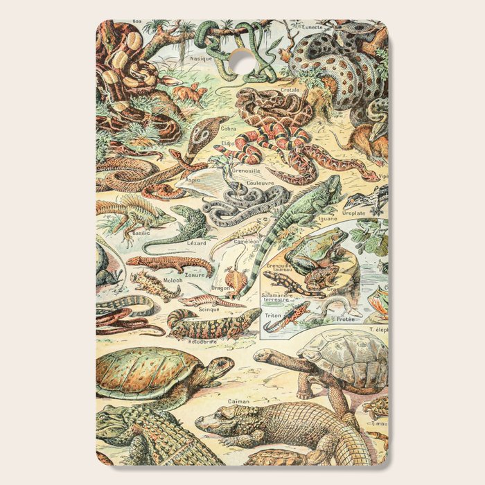 Reptiles II by Adolphe Millot // XL 19th Century Snakes Lizards Alligators Science Textbook Artwork Cutting Board Gallery Image 1
