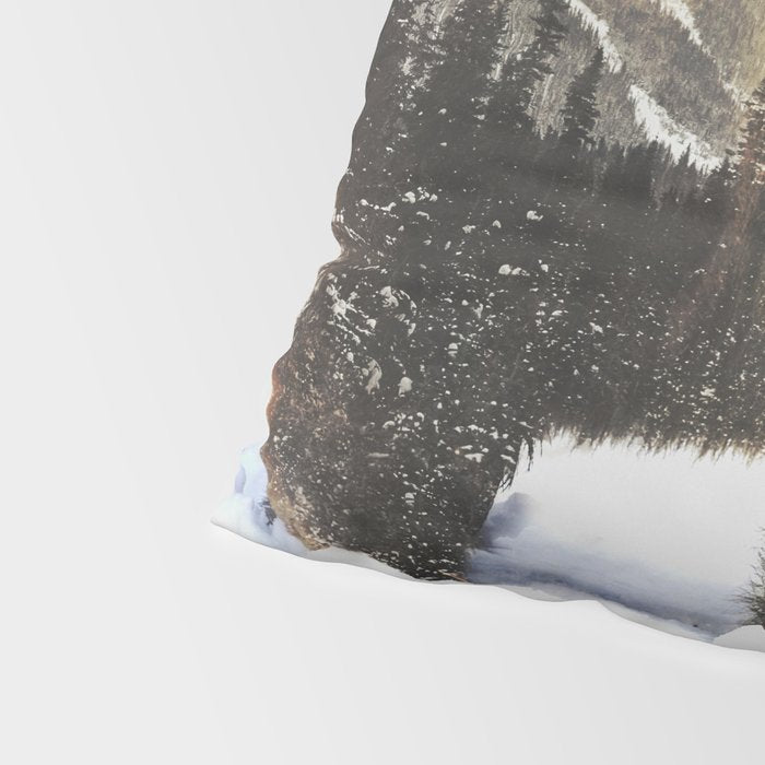 Arctic Grizzly Bear Pillow Sham Gallery Image 4