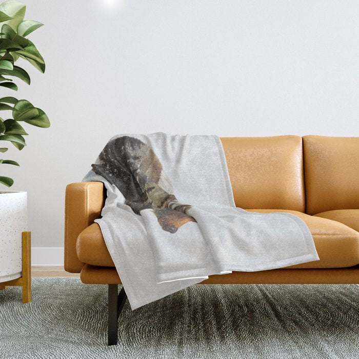 Arctic Grizzly Bear Throw Blanket Gallery Image 1