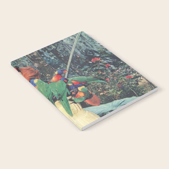 Hiding Notebook Gallery Image 1