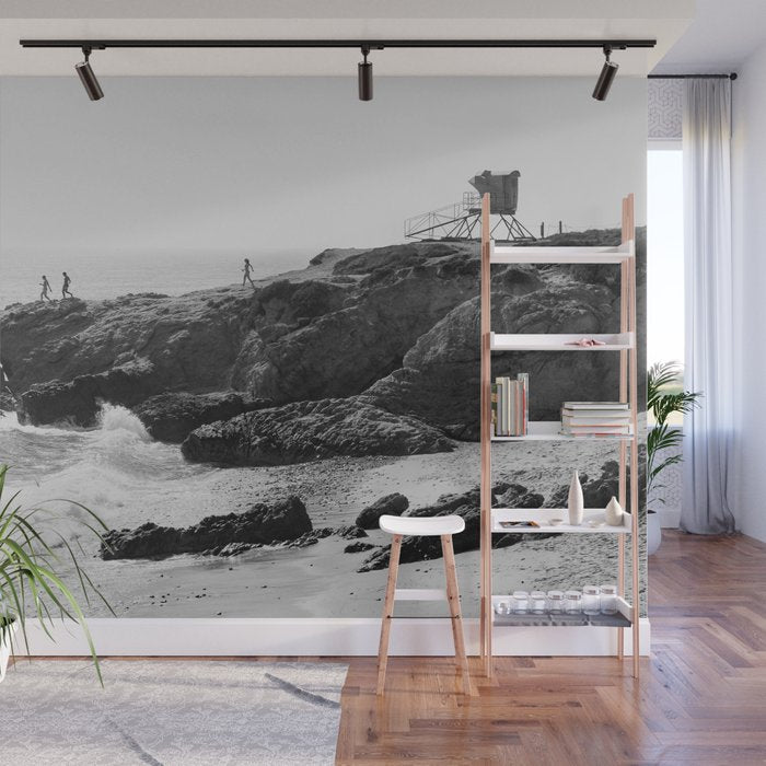 Leo Carrillo State Beach | Malibu California | Black and White Photography | Malibu Photography Wall Mural Gallery Image 1