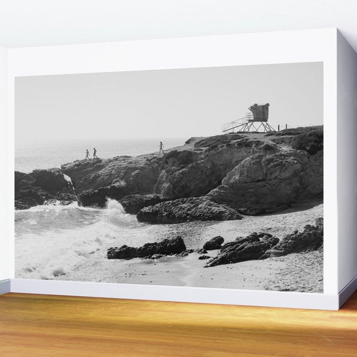 Leo Carrillo State Beach | Malibu California | Black and White Photography | Malibu Photography Wall Mural Gallery Image 2