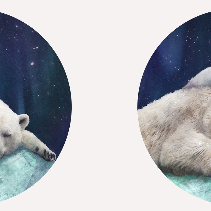 Polar Bears Coffee Mug Gallery Image 2