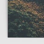 Multnomah Falls Poster Gallery Image 3