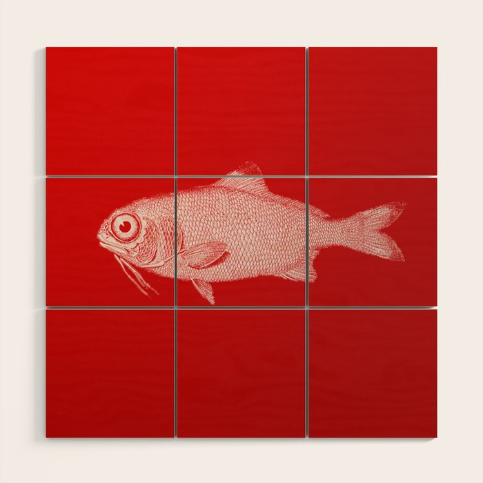 red fish poisson Wood Wall Art Gallery Image 1