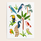 Jungle Birds Species Poster Gallery Image 4