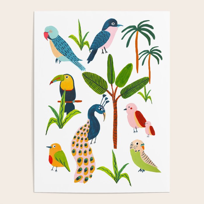 Jungle Birds Species Poster Gallery Image 4