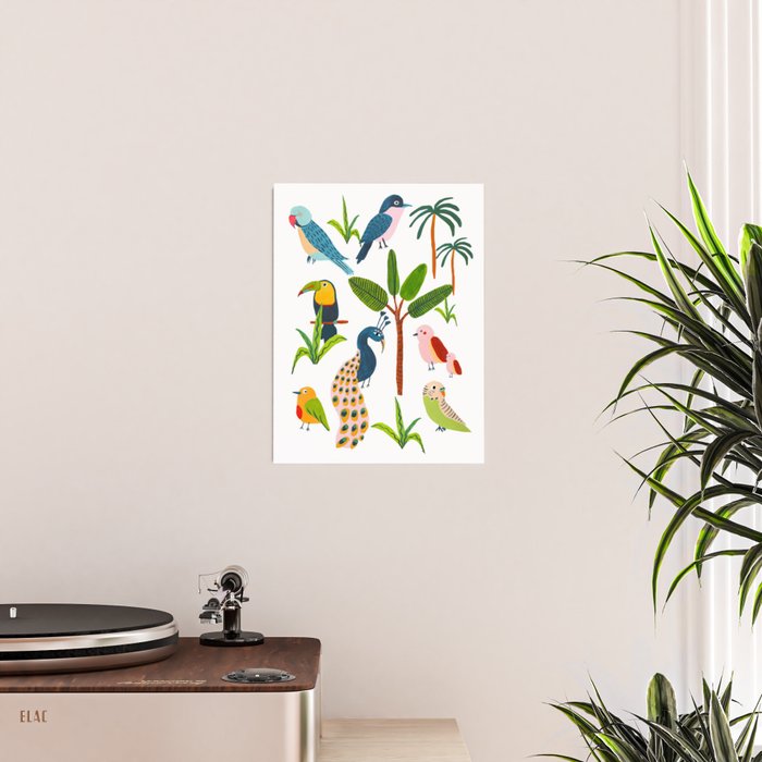 Jungle Birds Species Poster Gallery Image 2