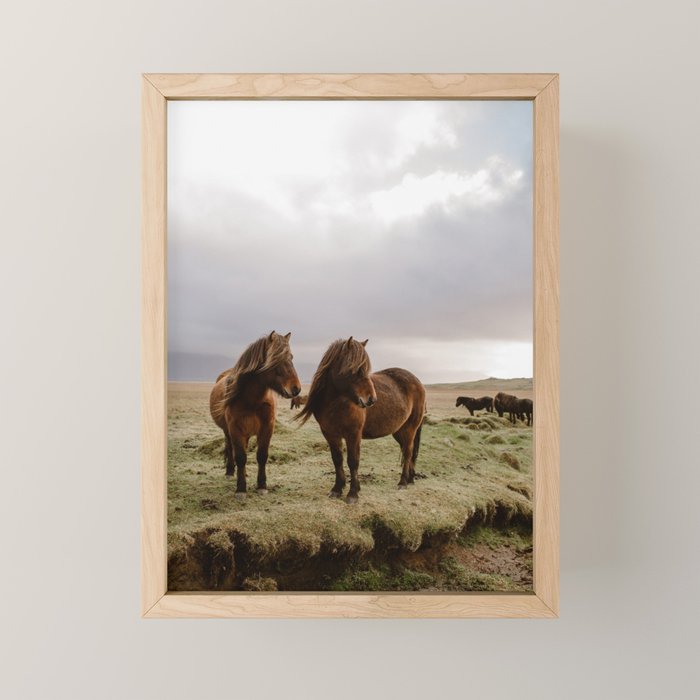 Two Icelandic Ponies Mini Art Print Gallery Image 1