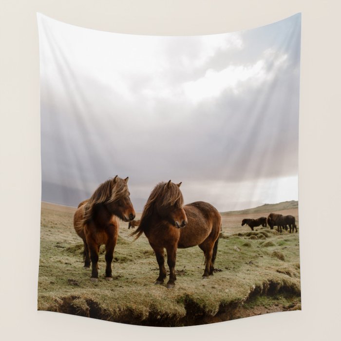 Two Icelandic Ponies Wall Tapestry Gallery Image 4