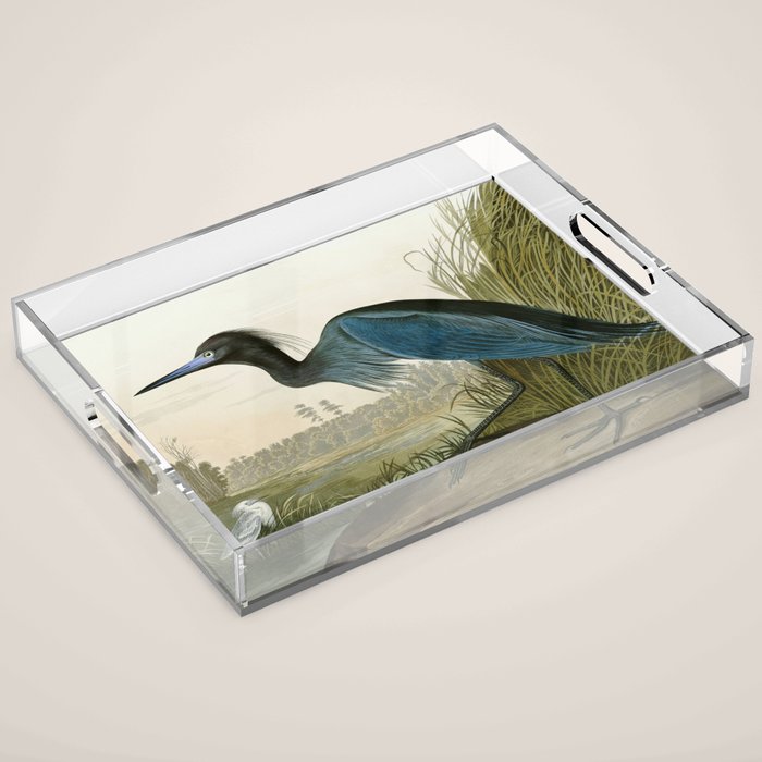 Little Blue Heron - John James Audubon's Birds of America Print Acrylic Tray Gallery Image 1