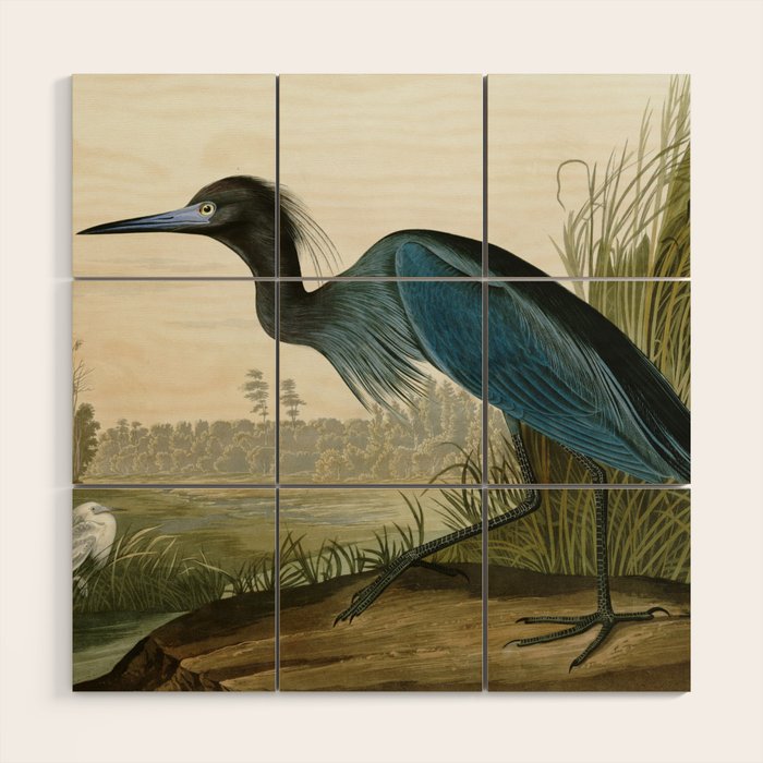 Little Blue Heron - John James Audubon's Birds of America Print Wood Wall Art Gallery Image 1