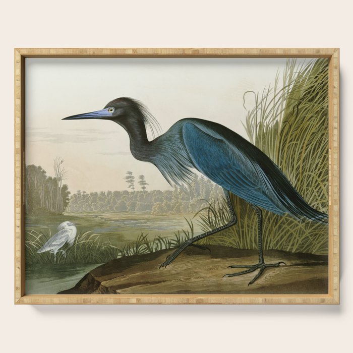 Little Blue Heron - John James Audubon's Birds of America Print Serving Tray Gallery Image 1