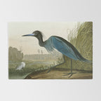 Little Blue Heron - John James Audubon's Birds of America Print Rug Gallery Image 2