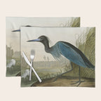 Little Blue Heron - John James Audubon's Birds of America Print Placemat Gallery Image 1