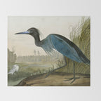 Little Blue Heron - John James Audubon's Birds of America Print Throw Blanket Gallery Image 2