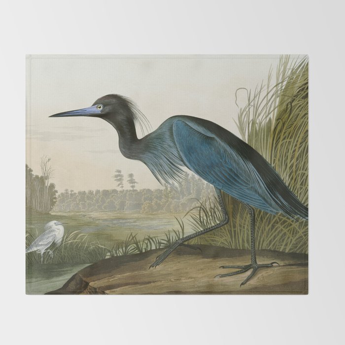 Little Blue Heron - John James Audubon's Birds of America Print Throw Blanket Gallery Image 2