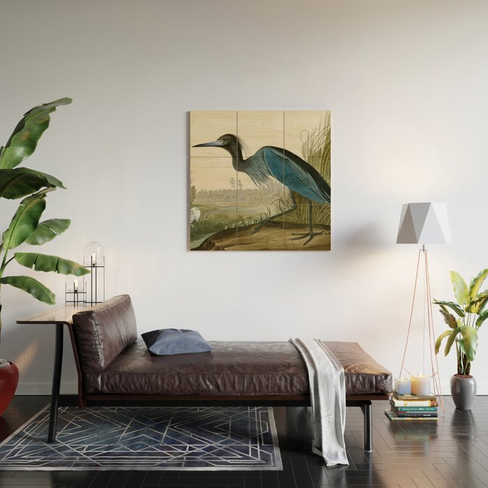 Little Blue Heron - John James Audubon's Birds of America Print Wood Wall Art Gallery Image 2