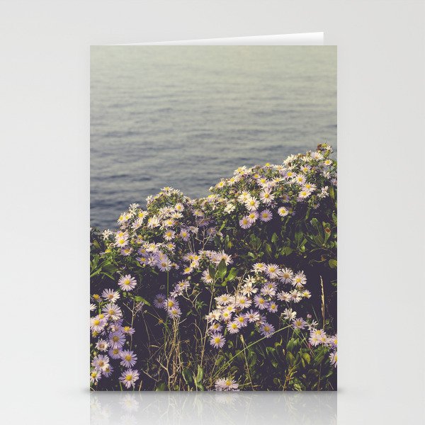 autumn asters by the sea - wildflower botanical photograph Stationery Card Gallery Image 2