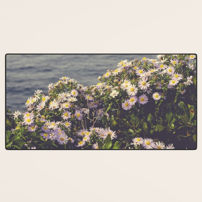 autumn asters by the sea - wildflower botanical photograph Desk Mat Gallery Image 3