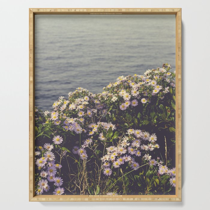autumn asters by the sea - wildflower botanical photograph Serving Tray Gallery Image 1