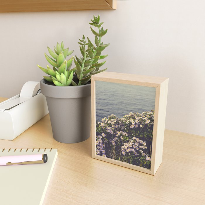 autumn asters by the sea - wildflower botanical photograph Mini Art Print Gallery Image 2