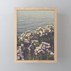 autumn asters by the sea - wildflower botanical photograph Mini Art Print Gallery Image 1