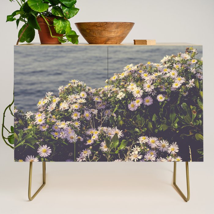 autumn asters by the sea - wildflower botanical photograph Credenza Gallery Image 1