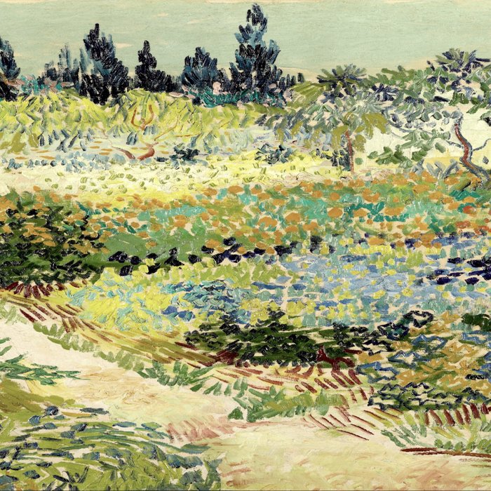 Vincent Van Gogh : Garden at Arles Coffee Mug Gallery Image 2
