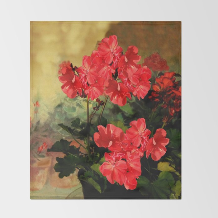 Decorative Red Geraniums  Floral Still Life Art Throw Blanket Gallery Image 2