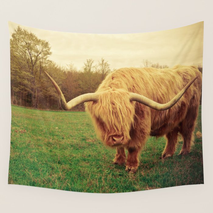 Scottish Highland Steer - regular version Wall Tapestry Gallery Image 1