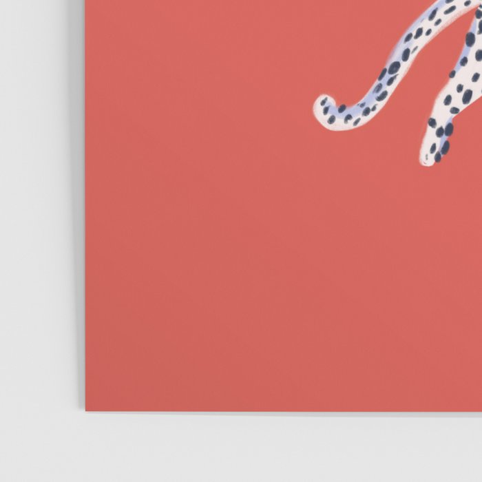 Fashionable white leopards  Poster Gallery Image 3