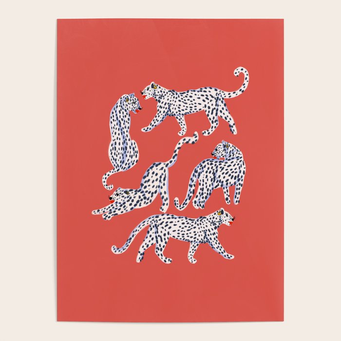 Fashionable white leopards  Poster Gallery Image 1