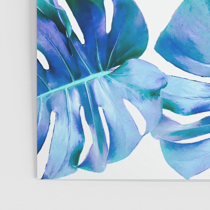 Monstera exotica - azure Poster Gallery Image 3