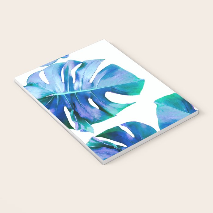 Monstera exotica - azure Notebook Gallery Image 3