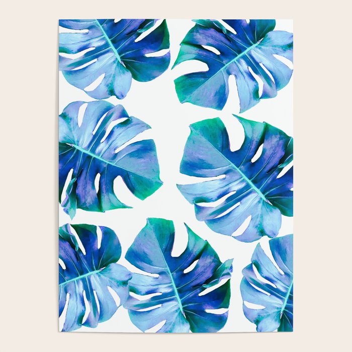 Monstera exotica - azure Poster Gallery Image 4
