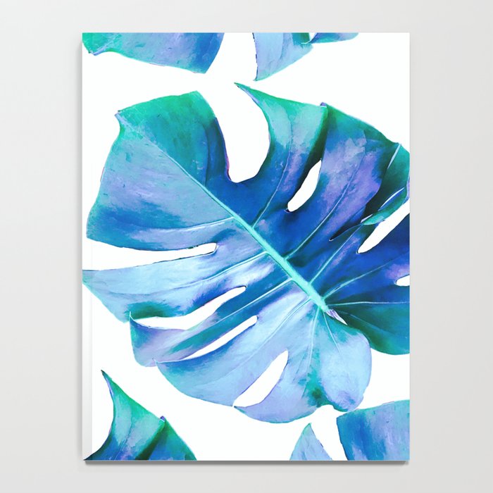 Monstera exotica - azure Notebook Gallery Image 4