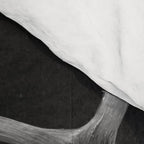 Elk and Rabbit Comforter Gallery Image 4