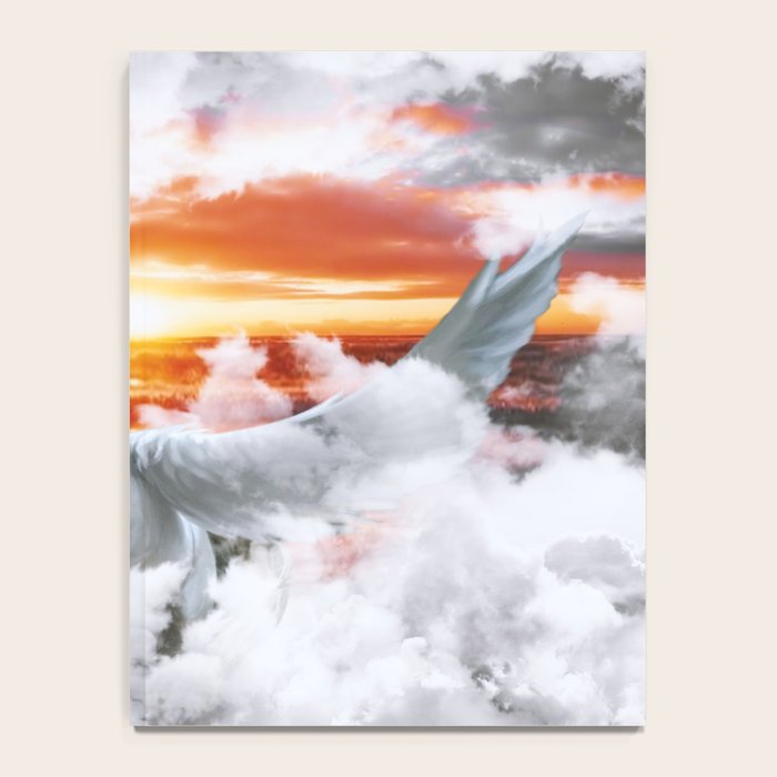 PEGASUS Notebook Gallery Image 4