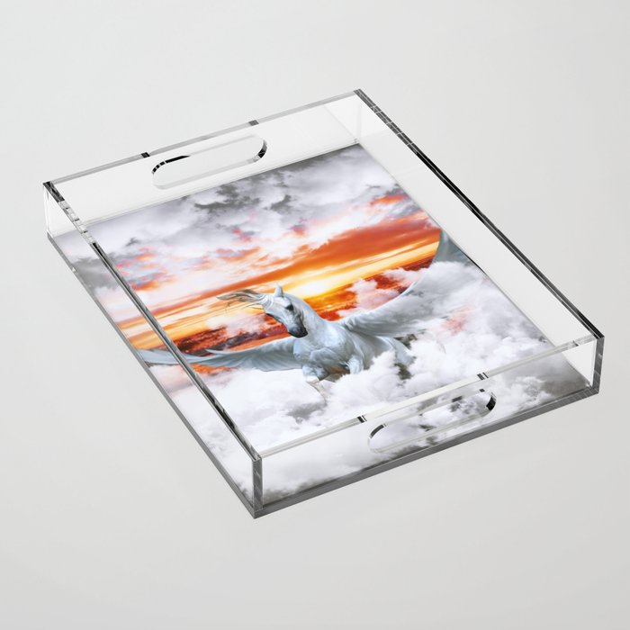 PEGASUS Acrylic Tray Gallery Image 1