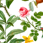 Bonnie Botanical Bloom  Coffee Mug Gallery Image 2