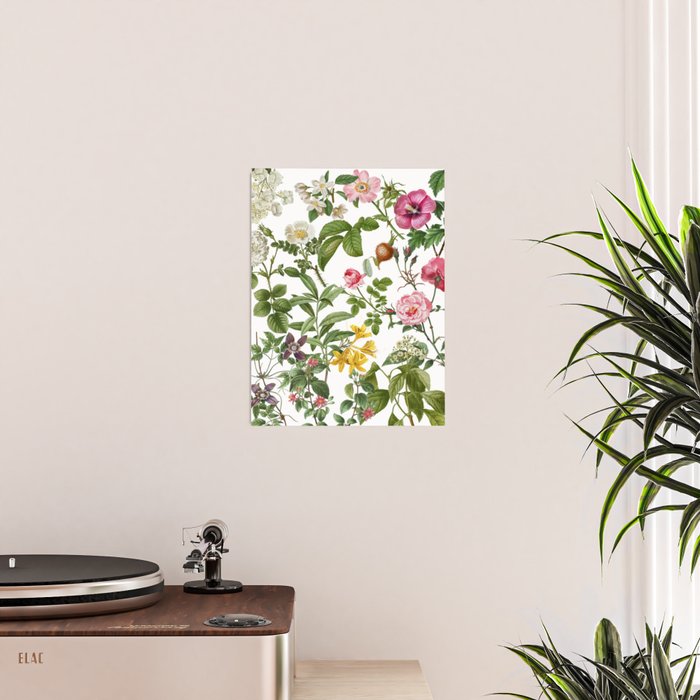 Bonnie Botanical Bloom  Poster Gallery Image 2