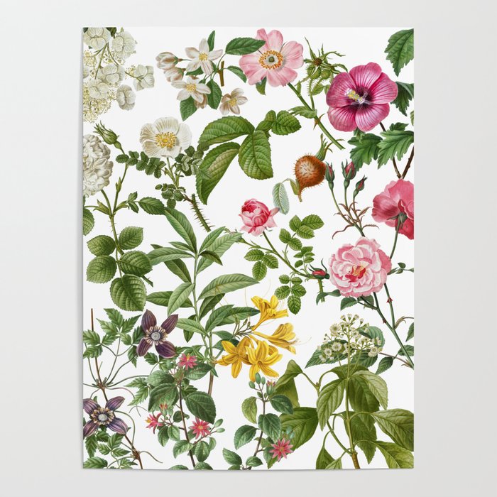 Bonnie Botanical Bloom  Poster Gallery Image 4